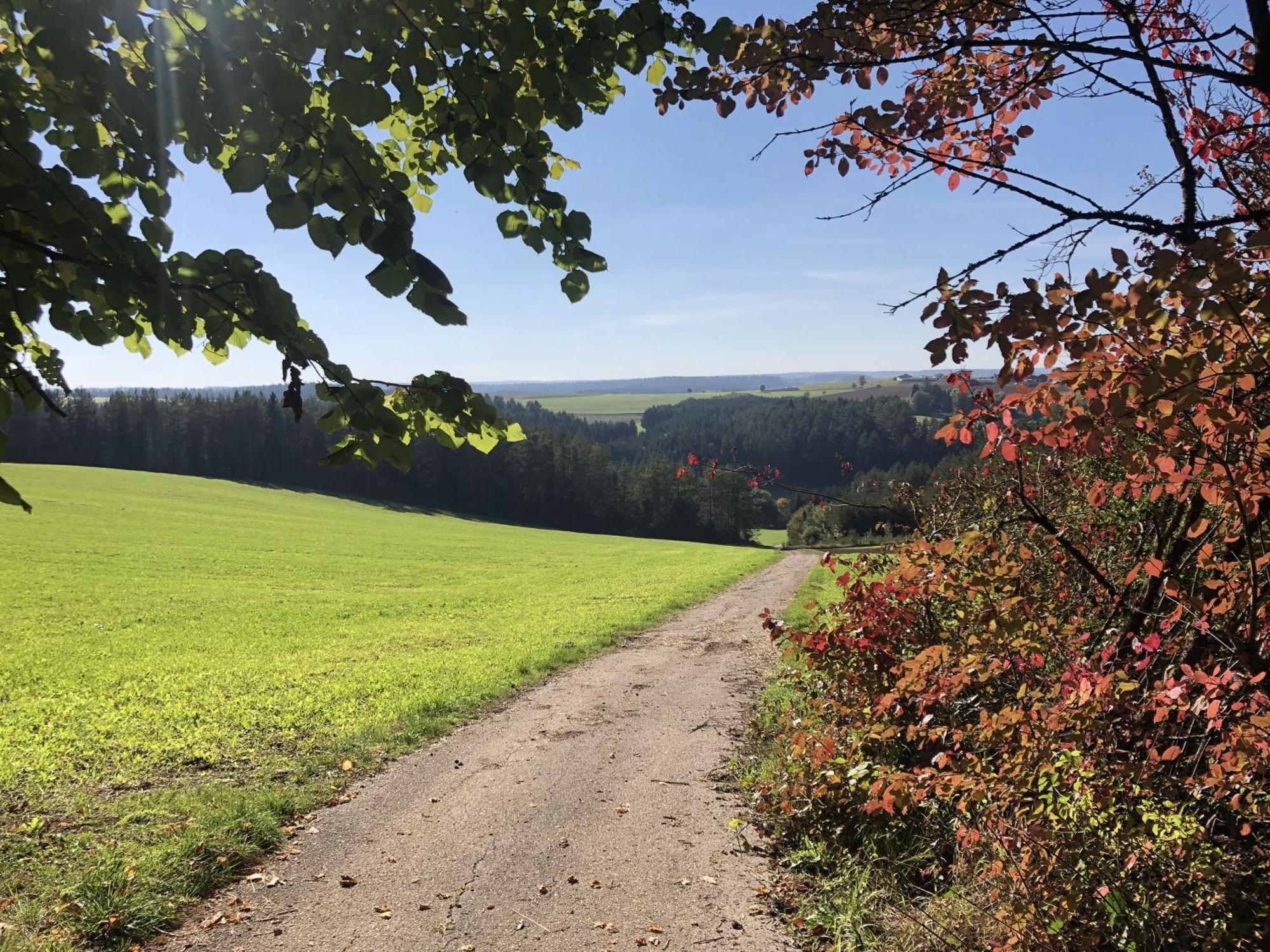 Eschachblick *