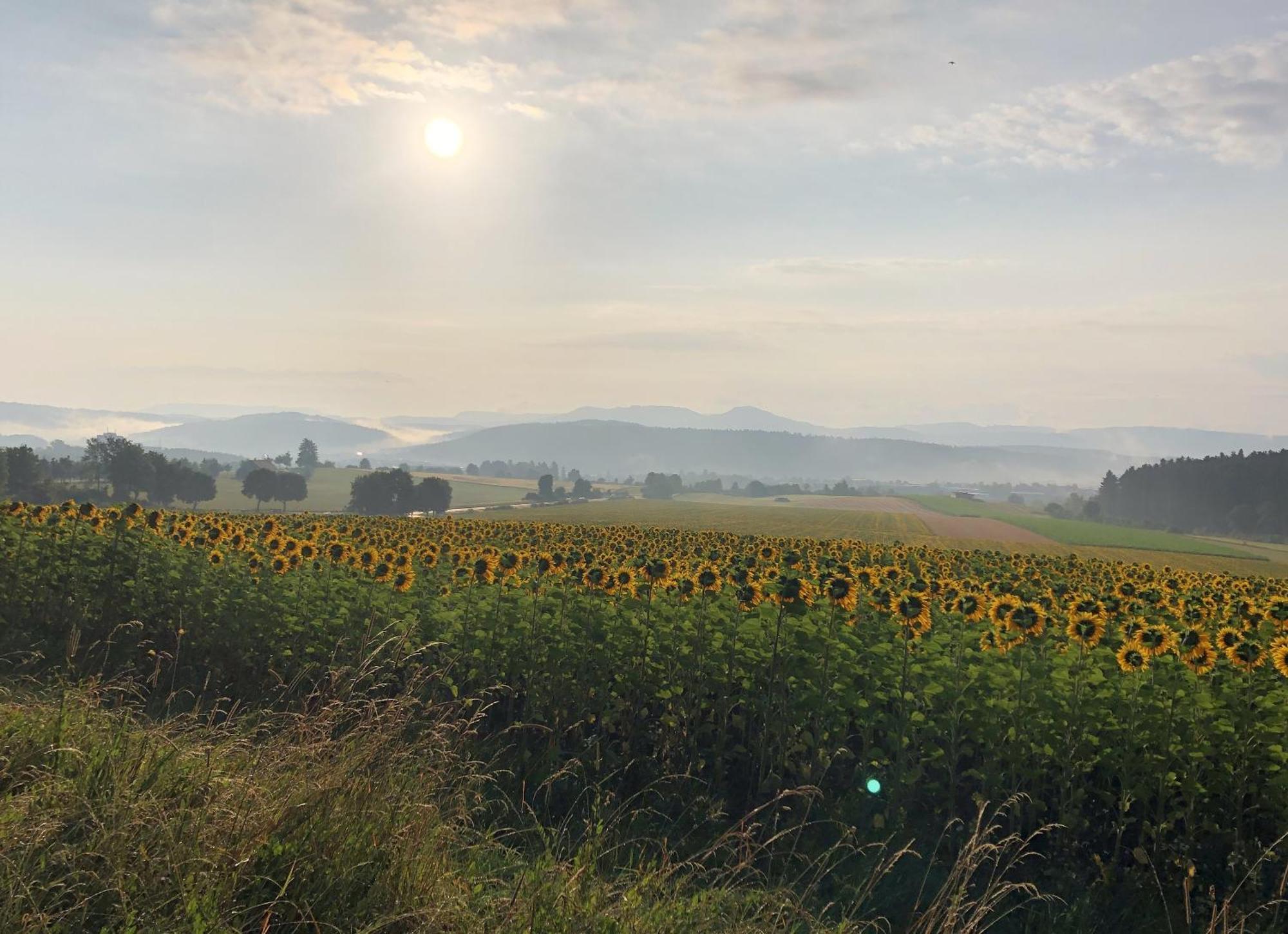 Eschachblick Zimmern ob Rottweil