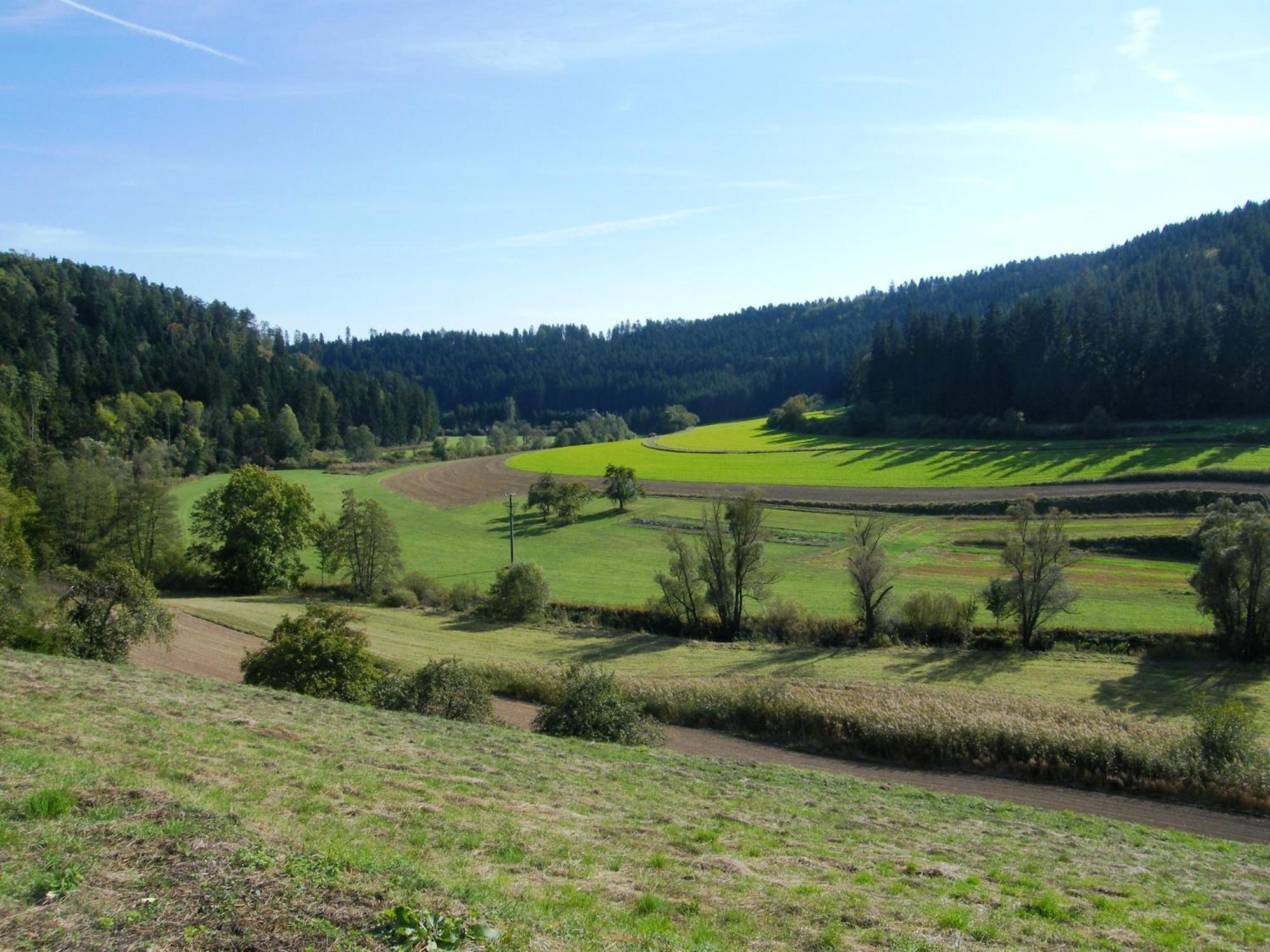 Eschachblick * Zimmern ob Rottweil
